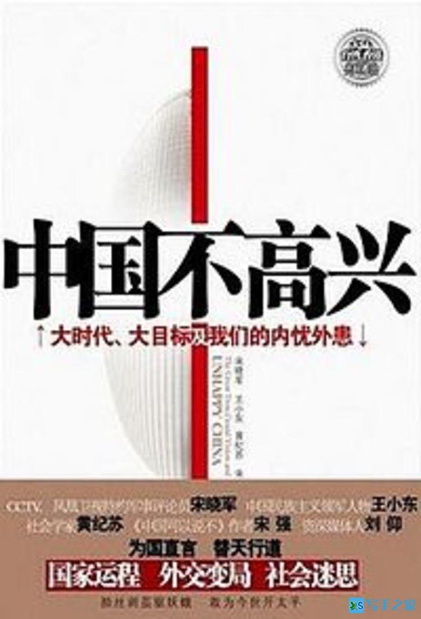 《中国不高兴》被称为 2009 年第一畅销书