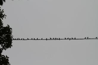 u=3287119156,268863202&amp;fm=15&amp;gp=0.jpg