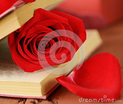 浪漫静物-书和红色玫瑰-37429070.jpg
