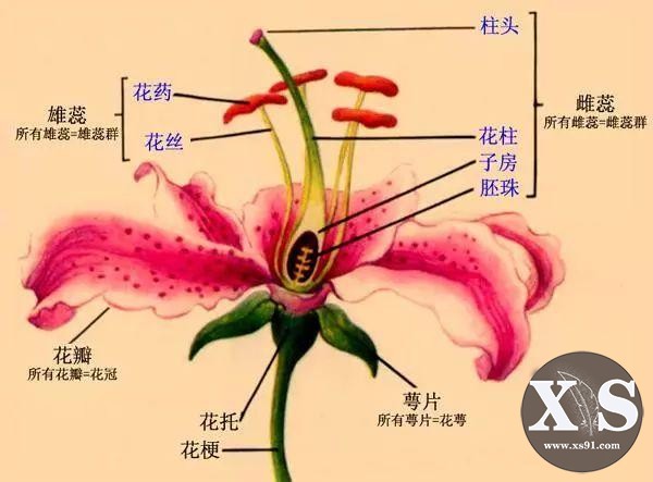 流沙河：反对国学的国学大家-5.jpg