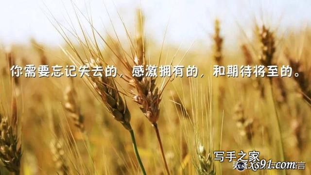 人生感悟19句：心灵鸡汤励志语录，每一句都激励着你！-10.jpg
