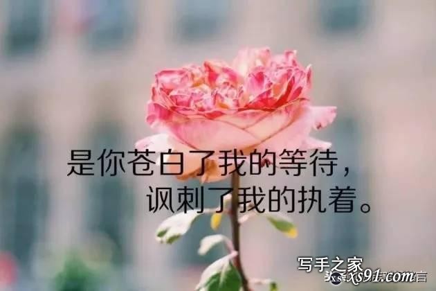 人生感悟10句：心情唯美戳心的一句话，经典-4.jpg