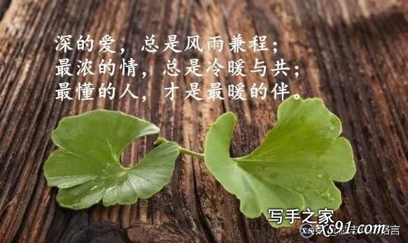 心情感悟励志语录，总有一句说进心里-1.jpg