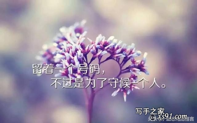 心情感悟20句：励志唯美语录，句句振奋人心-1.jpg