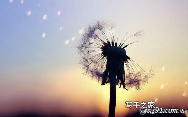 29条心灵鸡汤经典励志语录-3.jpg