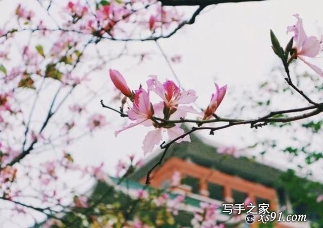 值得收藏！30本适合阅读的好书！（内含福利）-2.jpg