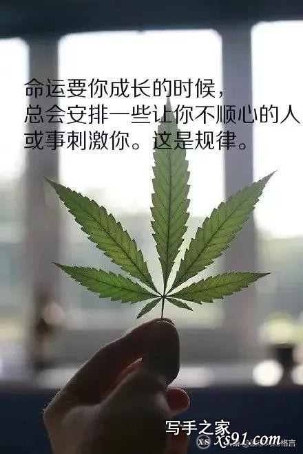 人生哲理心情语录，精辟透彻入人心-3.jpg