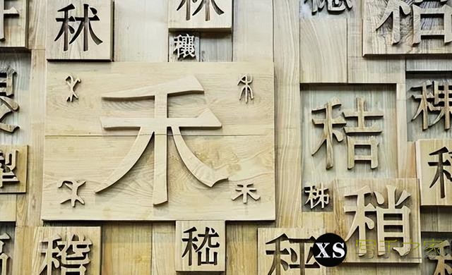 《汉字的世界》|“文”、“字”、“名”-2.jpg